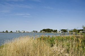 Maryland Prints: Tilghman Island