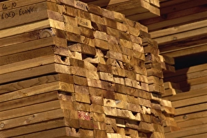 Forestry Prints: Timber, British Columbia, Canada, North America