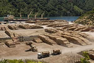 Ports Prints: Timber port, Okiwa Bay, Marlborough Sounds, South Island, New Zealand, Pacific