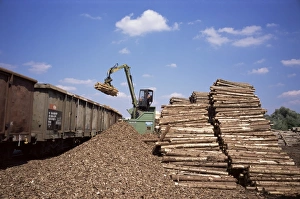 Logging Prints: Timber and rail yard by the River Inn, Austria, Europe