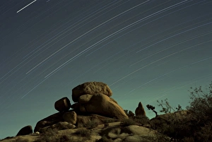 Linear Prints: Time exposure at night