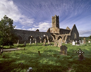 County Cork Prints: Timoleague Abbey