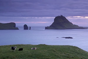 Vagar Prints: Tindholmur Island rising to 262 m, and Drangarnir natural arch at sunset