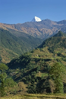 Tip of Annapurna South above terraced hills