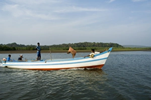 The Tiracol River