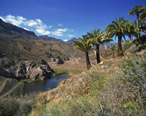 Tirajana, La Sorrueda, Santa Lucia, Gran Canaria, Canary Islands, Spain, Atlantic, Europe