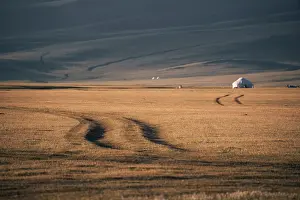 Kazakhstan Prints: Tire tracks weave through golden grasslands in the Song Kol region