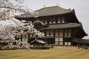 Images Dated 5th April 2008: Todaiji temple, UNESCO World Heritage Site, Nara, Japan, Asia