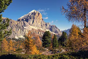 Tofana di Rozes in autumn, Falzarego Pass, Dolomites, Veneto, Italy, Europe