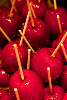 Stick Prints: Toffee apples, Christmas Market, Dortmund, North Rhine-Westphalia, Germany, Europe