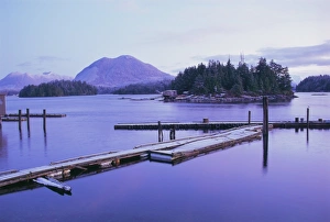 Canadian Prints: Tofino, Vancouver Island, British Columbia (B. C. ), Canada, North America