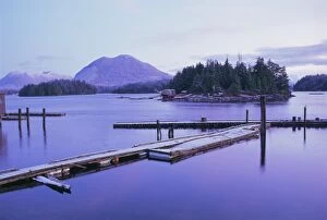 Images Dated 26th July 2008: Tofino, Vancouver Island, British Columbia (B.C.), Canada, North America
