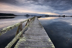 Boardwalk Prints: Tokaanu Wharf, Lake Taupo, North Island, New Zealand, Pacific