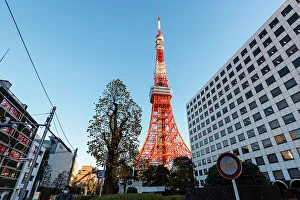 Historical Site Prints: Tokyo Tower illuminated by evening sun, Tokyo, Honshu, Japan, Asia