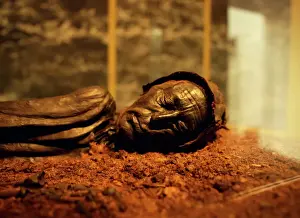 Preserved Prints: Tollund man found in a nearby peat bog in the Silkeborg museum in central Jutland