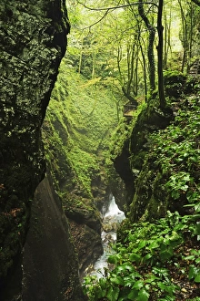 Slovenian Prints: Tolmin Gorge, Tolmin, Slovenia, Europe