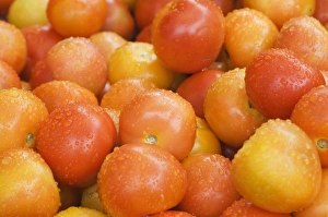 Images Dated 22nd March 2006: Tomatoes on a market stall