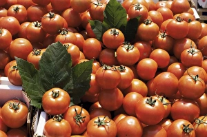 Salad Prints: Tomatoes on market stall, Kingston-upon-thames, Surrey, England, United Kingdom, Europe