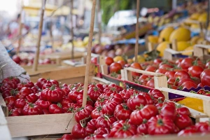 Vege Table Prints: Tomatoes on street market stall, Palermo, Sicily, Italy, Europe