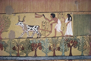 Tomb Prints: Tomb of Sinjin, chief artist to Rameses II