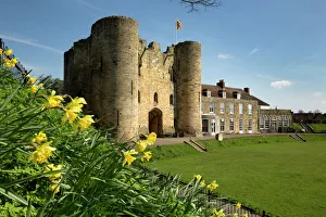 Castles Prints: Tonbridge Castle with daffodils, Tonbridge, Kent, England, United Kingdom, Europe