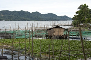Images Dated 3rd June 2008: Tondano Lake, Sulawesi, Indonesia, Southeast Asia, Asia