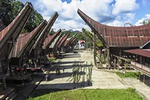 Toraja Prints: Tongkonan saddleback houses and rice barns inside family compound near Rantepao