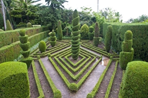 Funchal Prints: Topiary in formal garden, Botanical Garden, Funchal, Madeira, Portugal, Europe
