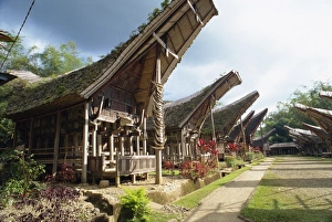 Toraja Prints: Toraja houses and granaries