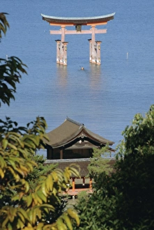 Hiroshima Prints: Tori on Miyajima Island