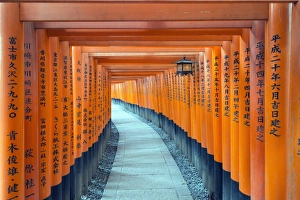Text Prints: Torii gate at Fushimi Inari Jinja