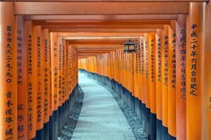 Kyoto Gallery: Torii gate at Fushimi Inari Jinja, Shinto shrine, UNESCO World Heritage Site, Kyoto, Honshu, Japan