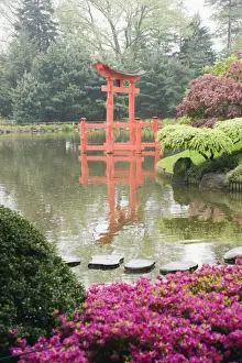 Brooklyn Prints: Torii gate in Japanese garden, Brooklyn Botanical Garden, Brooklyn, New York City