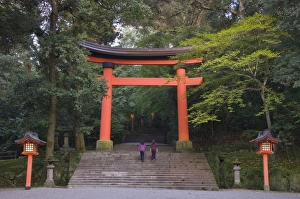 Gates Prints: Torii gate and lanterns at Usa Jingu, Usa, Oita, Japan, Asia