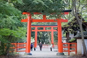 Gate Collection: Two torii gates, Shimogamo Shrine, Tadasu no Mori, Kyoto, Japan, Asia