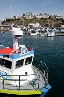 Images Dated 6th April 2009: Torquay, Devon, England, United Kingdom, Europe