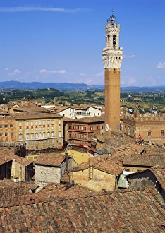 Siena Prints: Torre del Mangia, Siena, Italy
