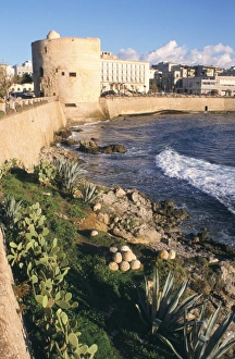 Town Wall Prints: Torre Sulis
