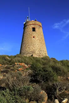 Shrub Prints: Torre Vigia de los Lobos watchtower