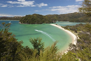 Nelson Region Prints: Torrent Bay, Abel Tasman National Park, Nelson region, South Island, New Zealand, Pacific