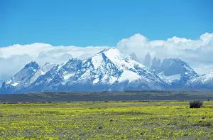 Patagonia Prints: Torres del Paine massif, Torres del Paine National Park, Patagonia, Chile, South America