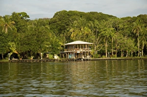 Costa Rican Prints: Tortuguero, Costa Rica, Central America