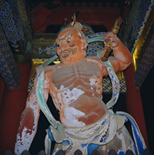 Disguise Prints: Toshogu Shrine