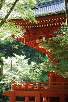 Images Dated 18th May 2009: Toshogu shrine, Nikko, Japan, Asia