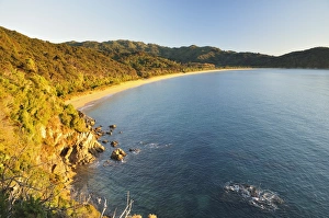 Sand Beach Prints: Totaranui Beach, Abel Tasman National Park, Tasman, South Island, New Zealand, Pacific