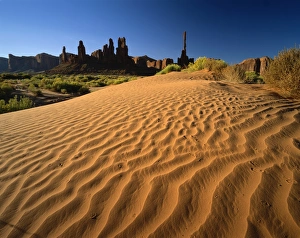 Totem Pole Prints: Totem Pole and Sand Springs