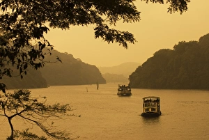 Back Water Prints: Tour boats cruising on lake, Lake Periyar, Kerala, India, Asia