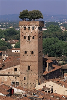 Lucca Prints: Tour des Guinigi