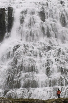 Images Dated 11th June 2009: Tourist admiring the dramatic waterfalls of Dynjandi, Iceland, Polar Regions