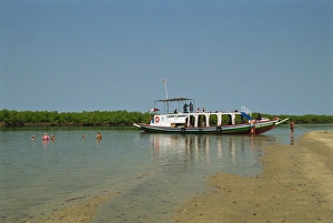 Tourist boat on backwaters near Banjul, Gambia, West Africa, Africa